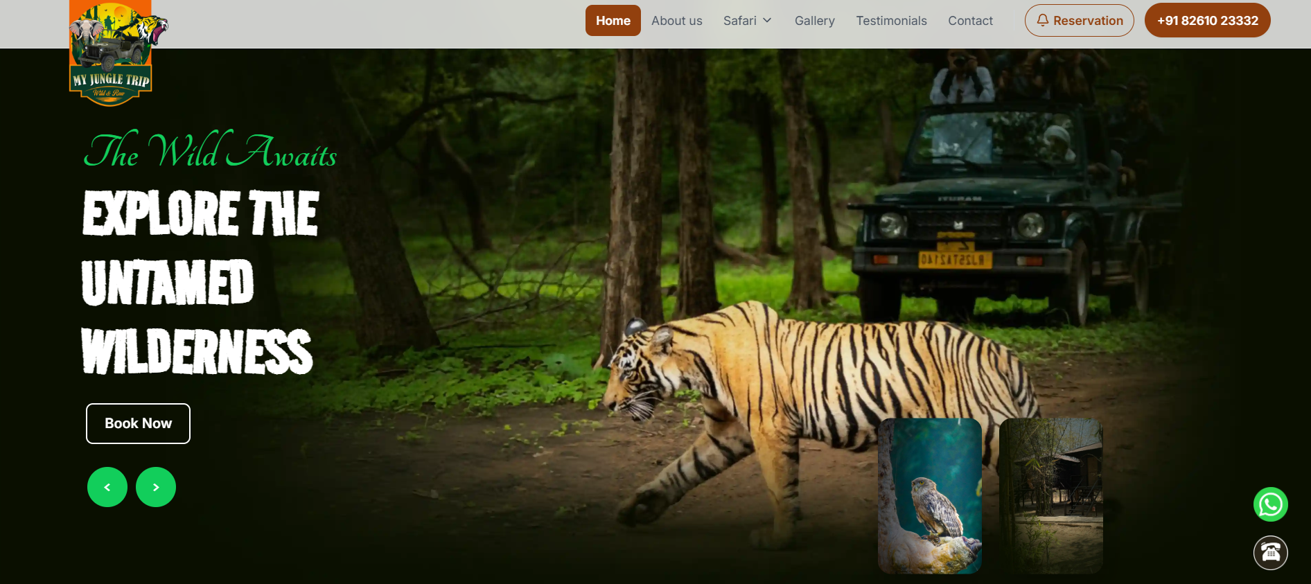 My Jungle Trip website preview